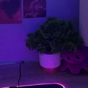 Fake Plant / Small Tree, in a white holder